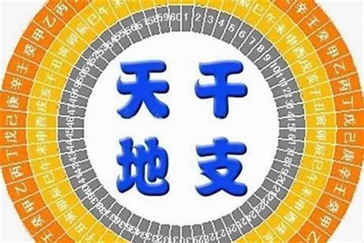 2023属蛇本命年运势如何