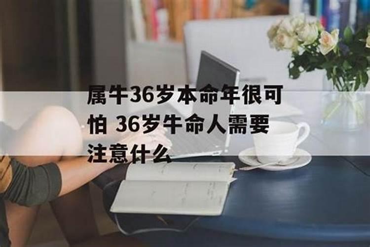 属牛36岁本命年好不好