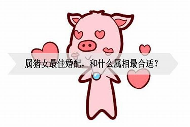 属猪女的最佳婚配属相是什么呢