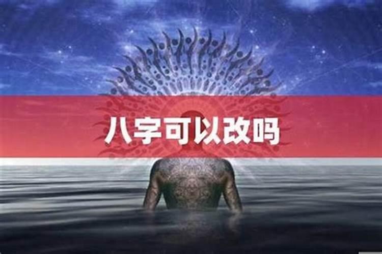 属马的今年适合做什么生意