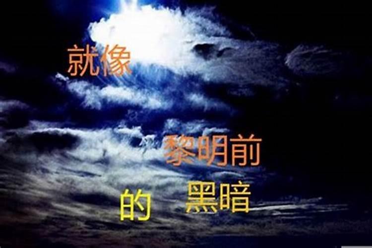 天蝎女和哪几个星座最配