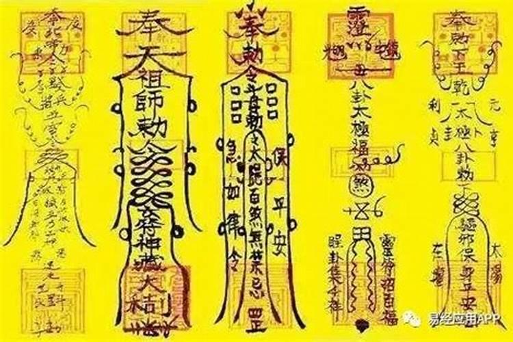 1991年八月出生的羊命运如何