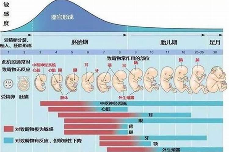 正月初二去耒阳哪里玩最好