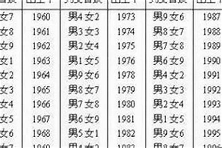 鸡人今年感情运势如何