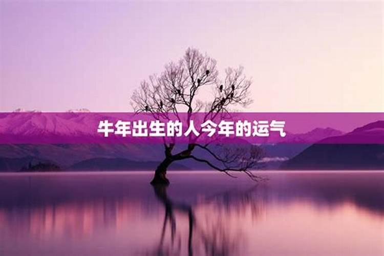 今天时辰吉凶表吉日查询晚上六点半什么时辰出生好