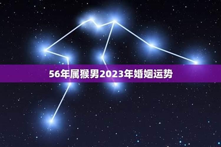 81年已婚男2023感情运势如何