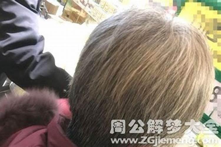 属马女属鸡男的相配吗婚姻如何