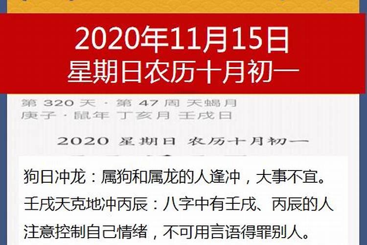 2022年属猪的运程如何