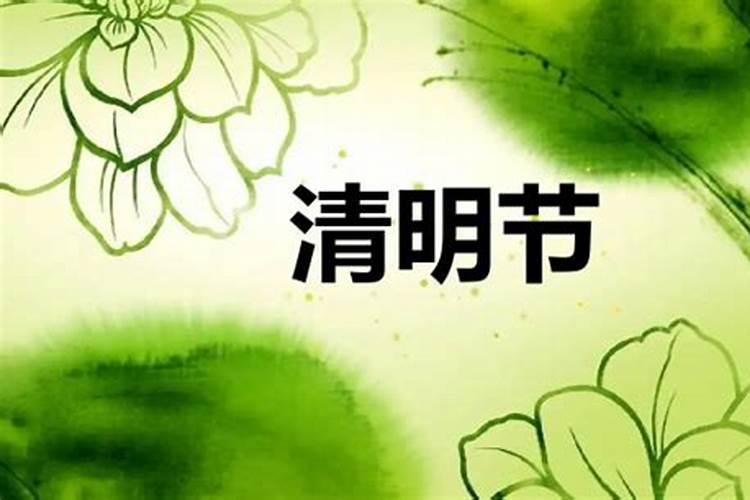 今年清明节是什么生肖