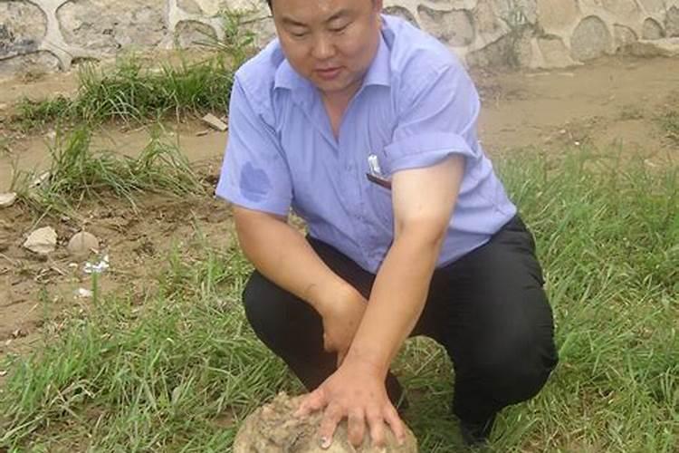 太岁实际上是什么生肖