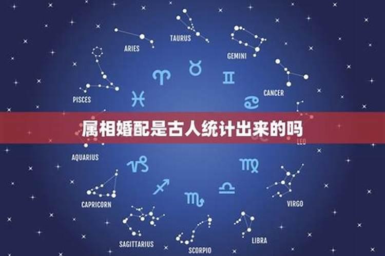 伊字是属于五行属什么