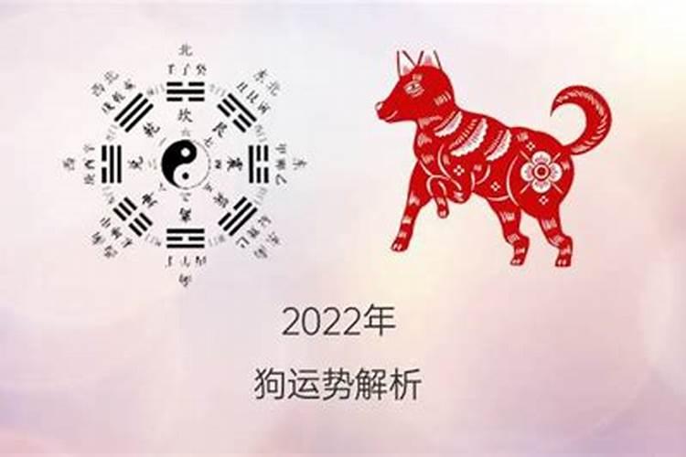 94年属狗2022年运势完整版