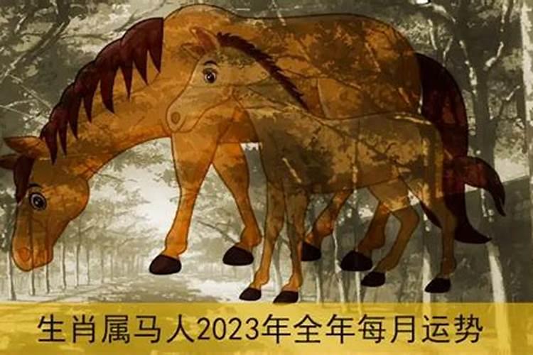 属马的2021年运势如何