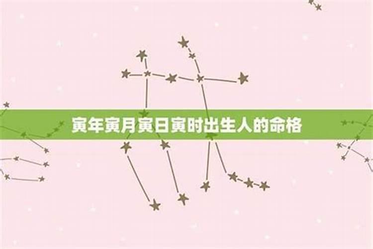 四八是代表什么生肖数字