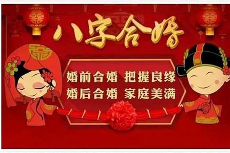 婚姻法属于什么法律类型