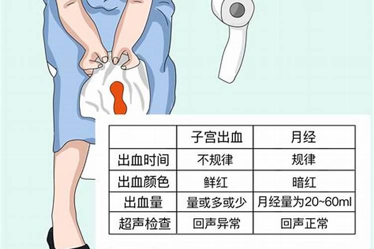 女人梦见熊是什么意思