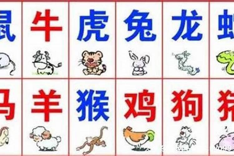 天河水是什么生肖数字