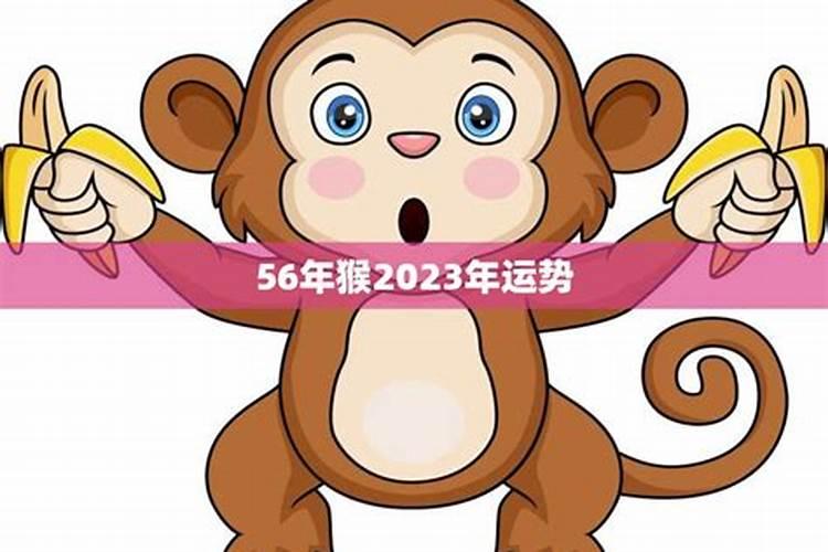 1992年猴人2023年运势