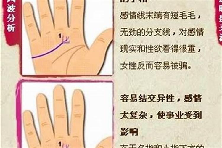 家人的生肖属相怎么看的