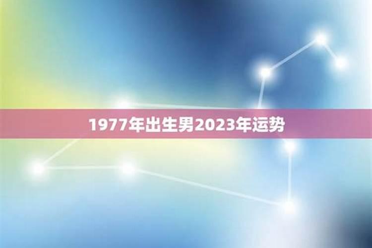 1977羊属蛇的人2023年运程