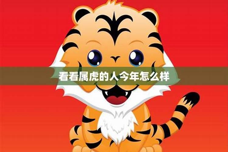 猴人虎年运势2022运势详解大全