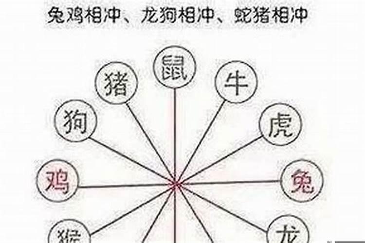 夫妻属相冲要怎么化解