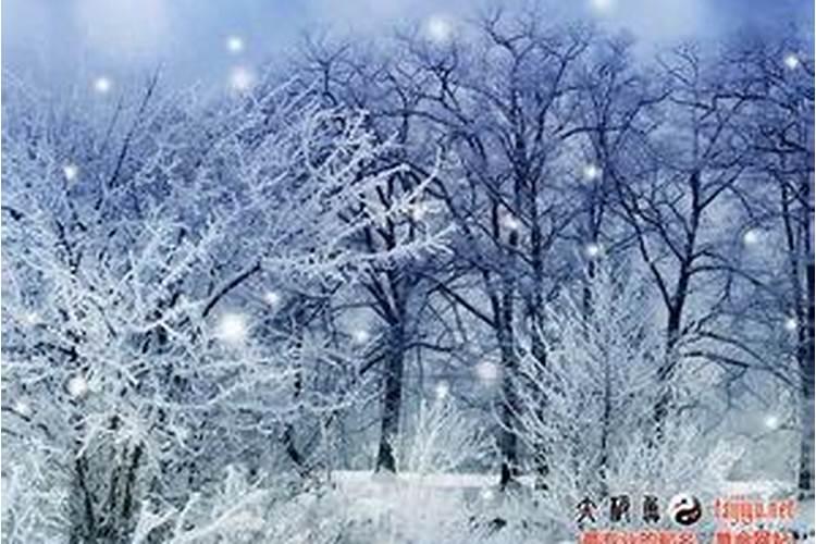 梦见雪是什么意思,好不好,代表什么