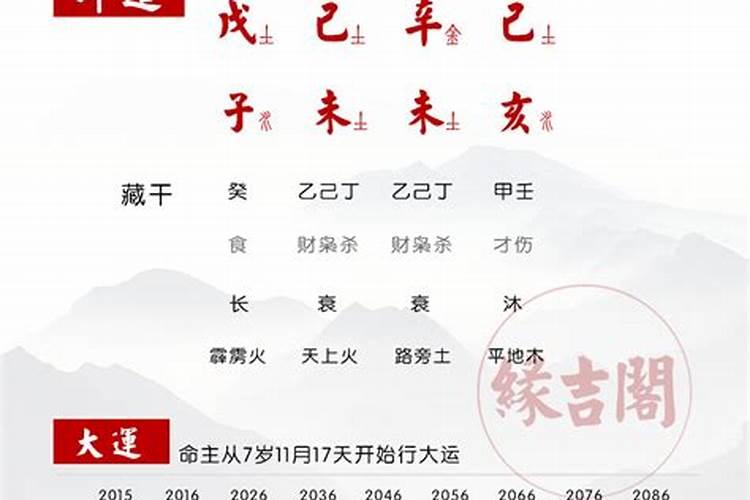 八字带甲是什么意思