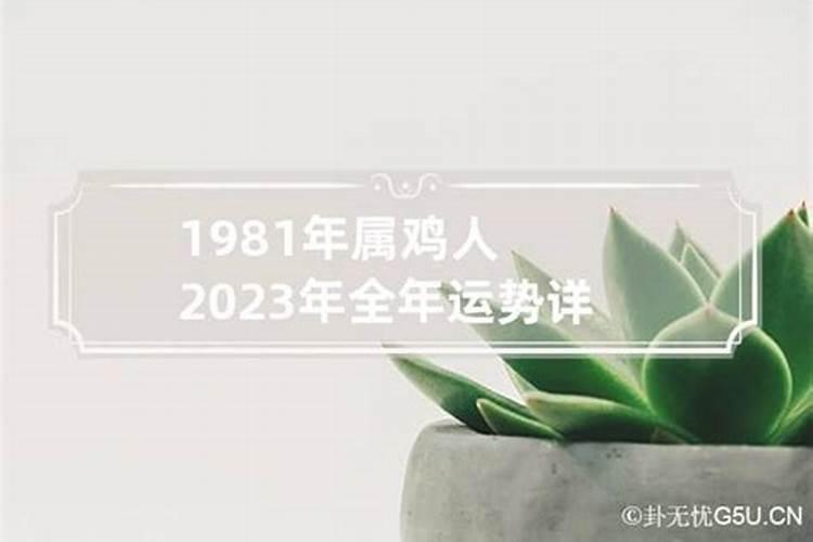 1981年的鸡在2023年的运势怎么样