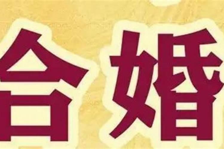 劫财大运适合做什么生意呢