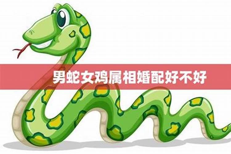 梦到小孩子掉牙齿是怎么回事啊