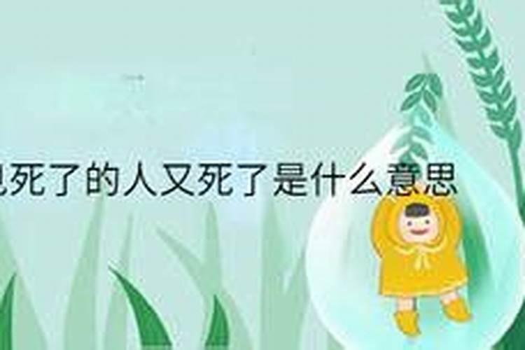 七五年的兔在今年的运势