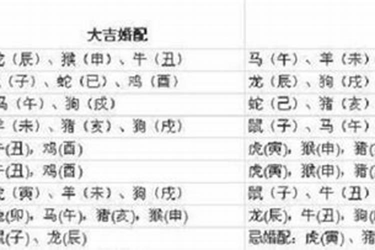 属猪的守护菩萨是哪位