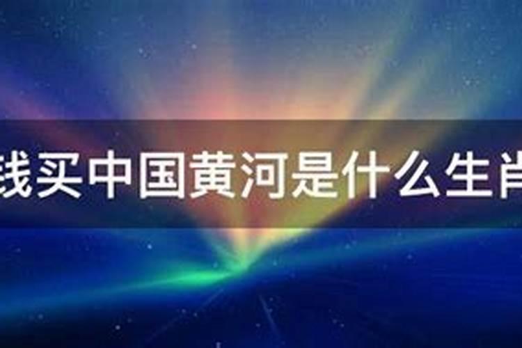 黄河源头在哪儿是什么生肖