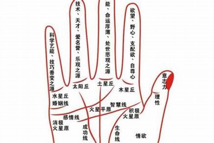 已婚女人梦见佛堂