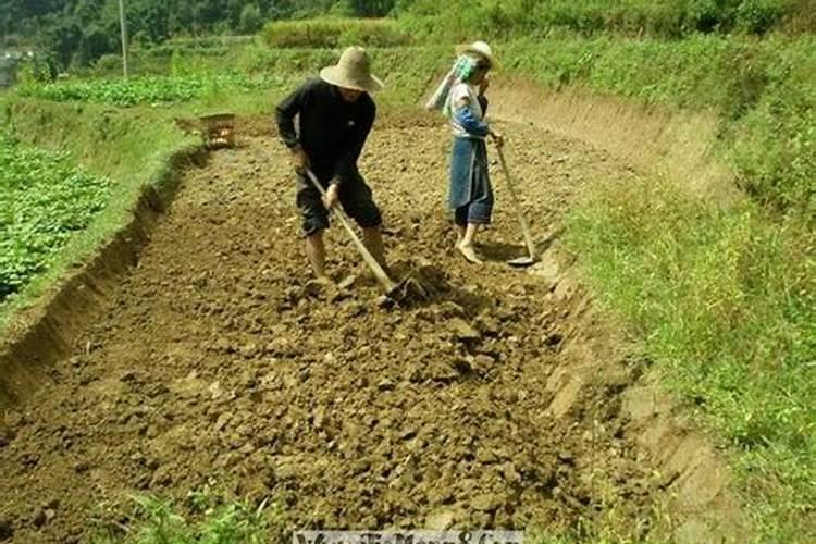 梦见死人和自己说话怎么回事