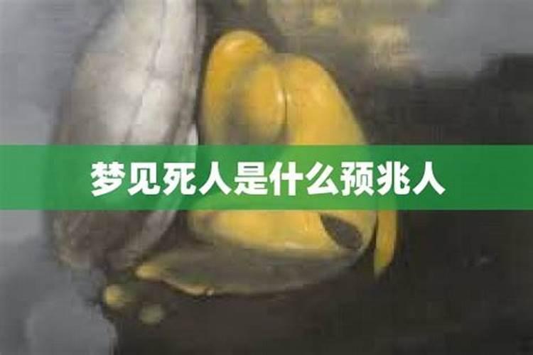 梦见放好多礼花