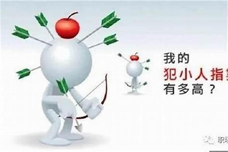 生肖适合养什么植物好