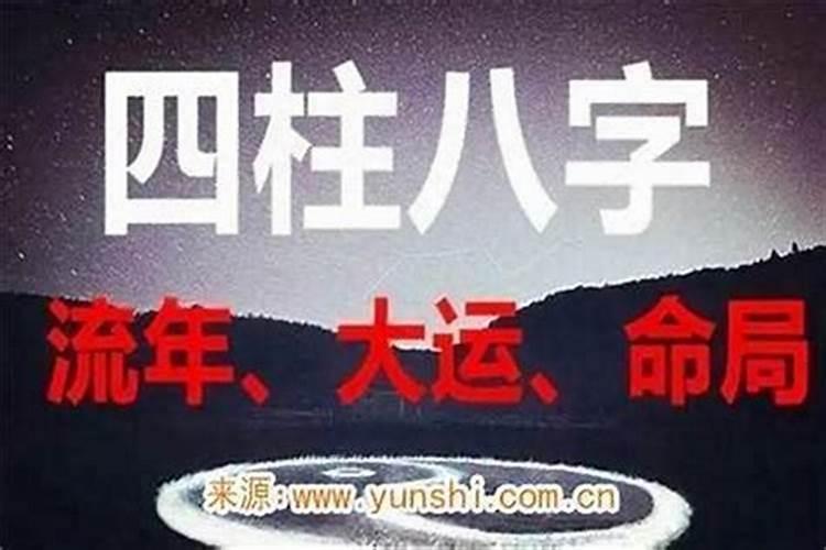 梦见菊花开了是什么意思