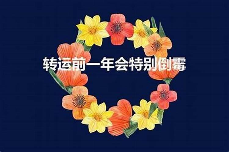 龙生肖住什么房子好一点