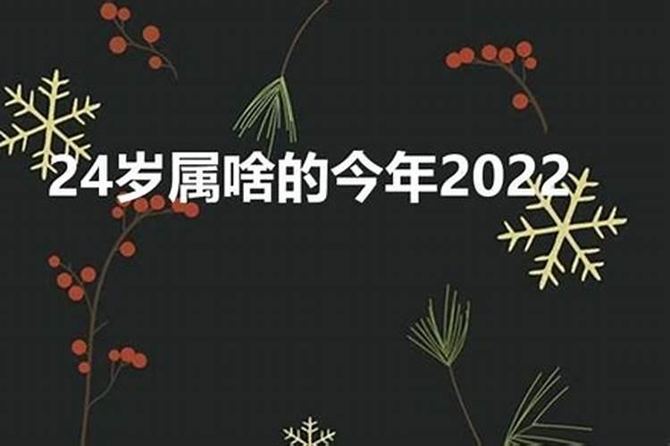 属什么生肖2022