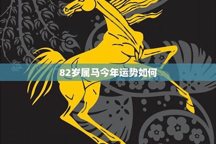 2023年属兔是什么太岁