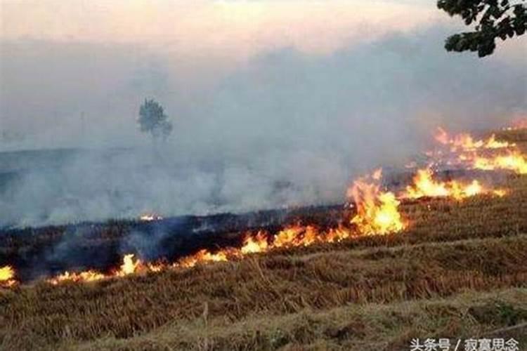 梦见坟墓着火了是什么意思啊