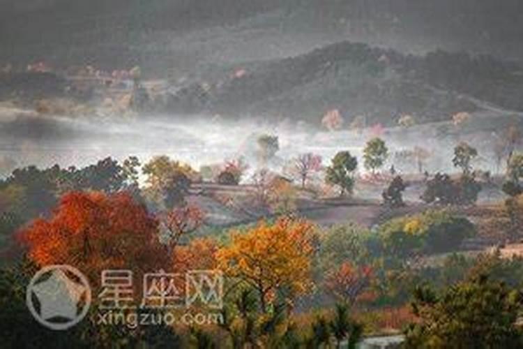 女人梦见下雨撑着伞