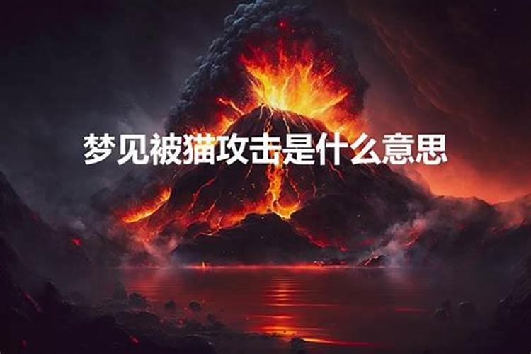 梦见家人吵架打架是什么预兆解梦