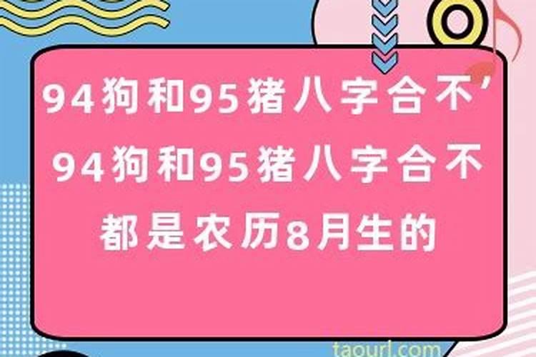 狗和狗的八字合不合适