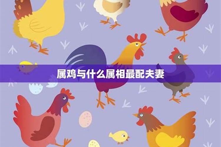 丙辰龙2021年每月运势