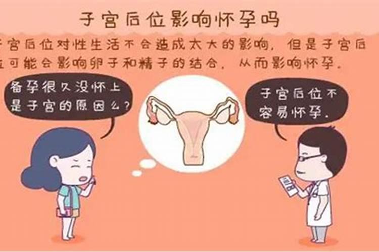 鼠年女与什么年男婚姻比较合