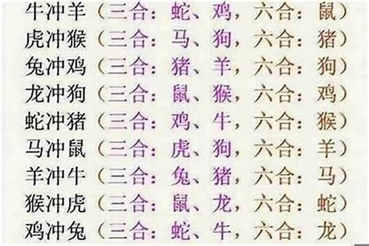 属马的跟属牛八字合吗