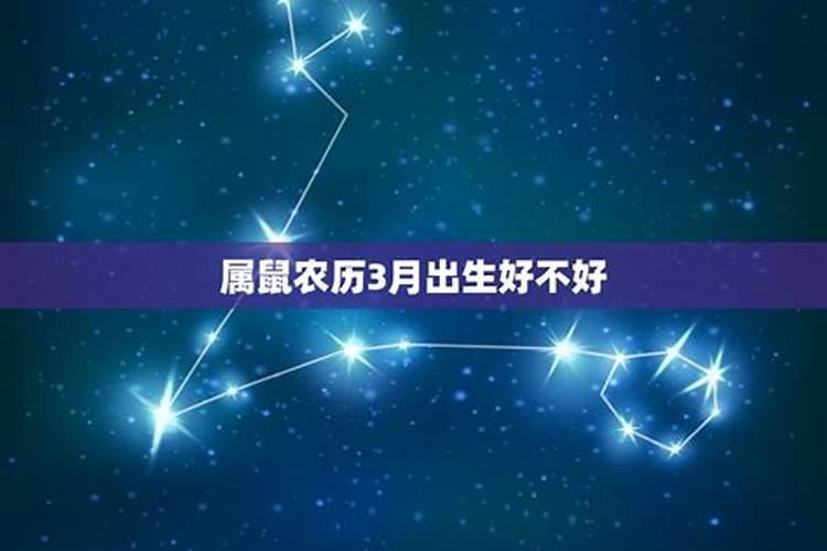 81年属鸡今日财运10月5日出生